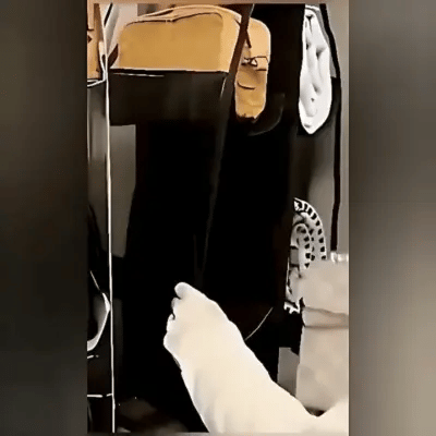 Organisateur Sacs à Main